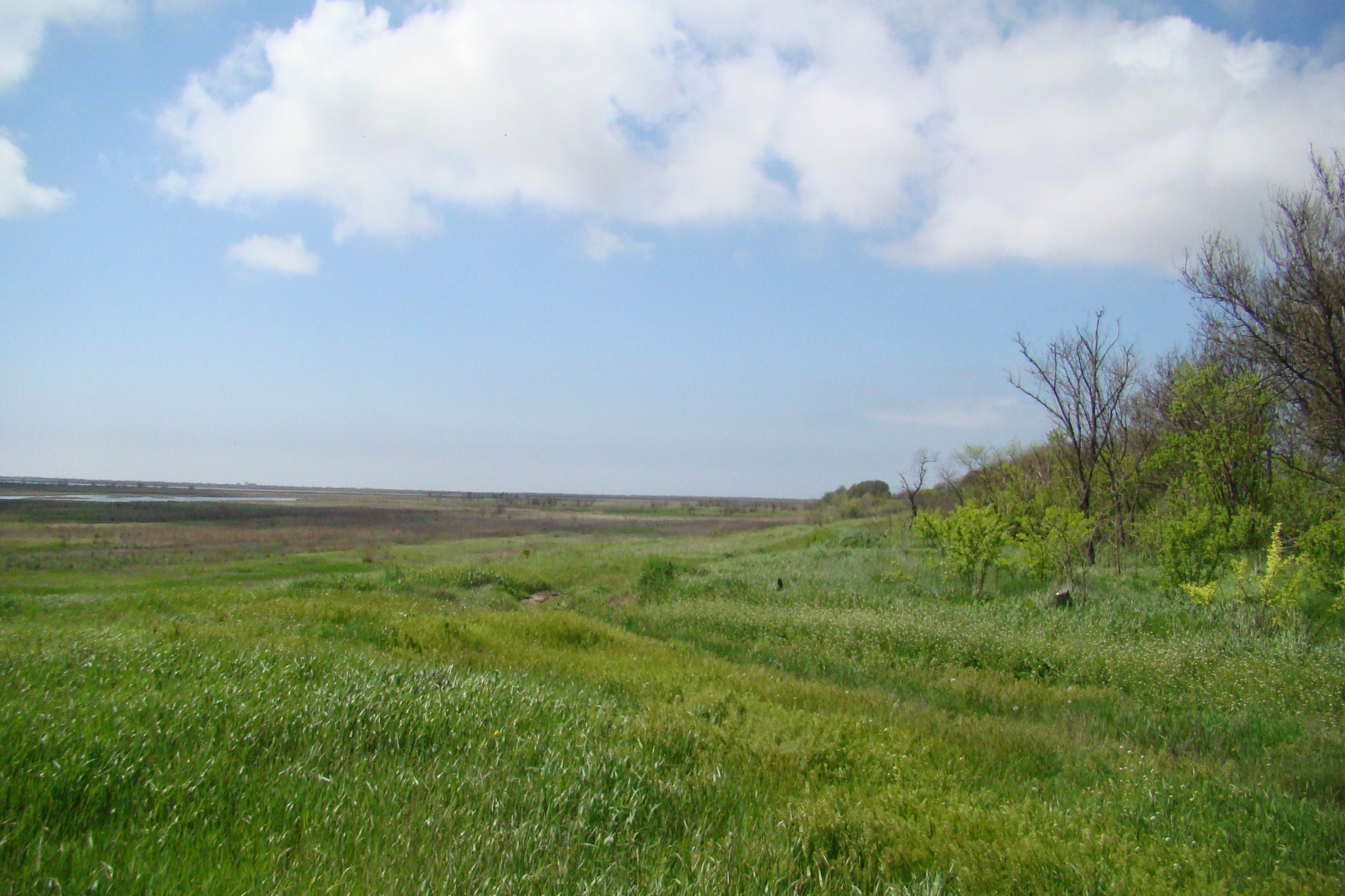 Obytochna Spit, meadows, the view from Naberezhne village